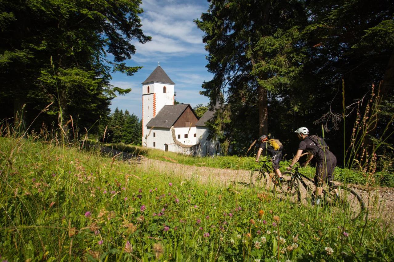Pohorje Village Wellbeing Resort - Forest Apartments Videc Hocko Pohorje Bagian luar foto